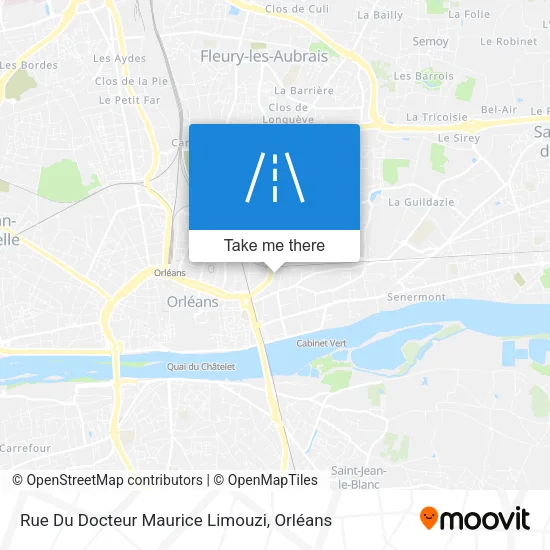 Rue Du Docteur Maurice Limouzi map