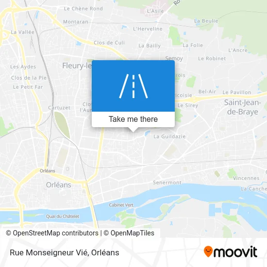 Rue Monseigneur Vié map