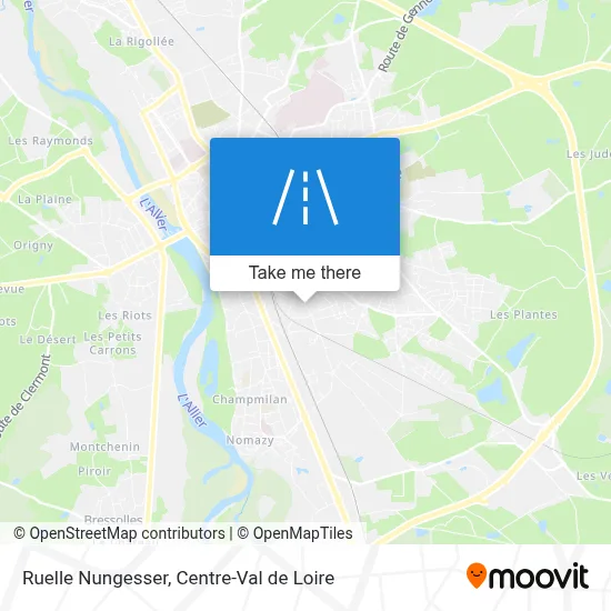 Ruelle Nungesser map