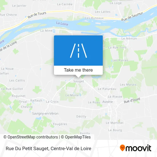 Rue Du Petit Sauget map