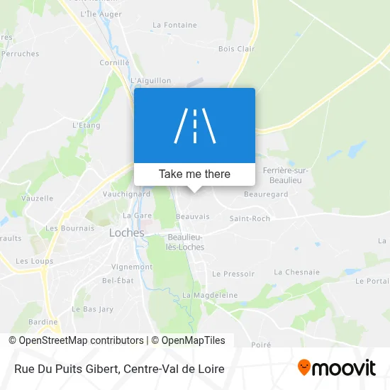Rue Du Puits Gibert map