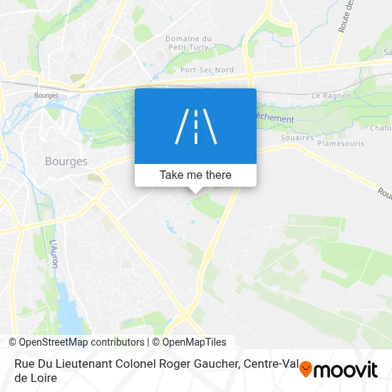 Rue Du Lieutenant Colonel Roger Gaucher map