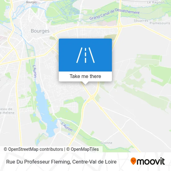 Rue Du Professeur Fleming map