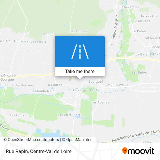 Rue Rapin map