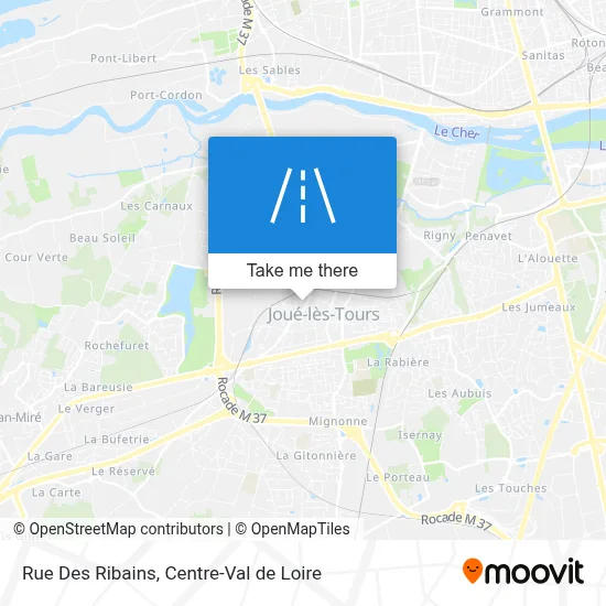 Rue Des Ribains map