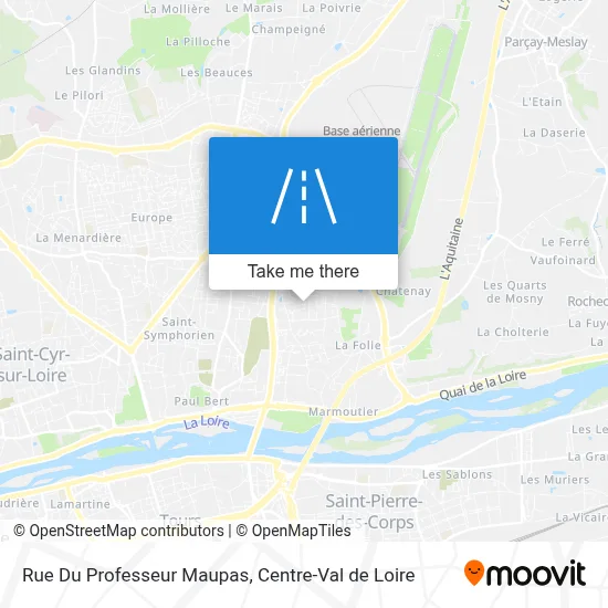 Rue Du Professeur Maupas map