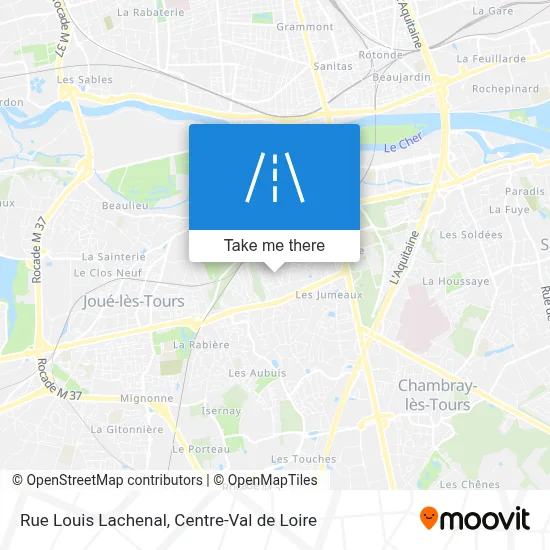 Rue Louis Lachenal map