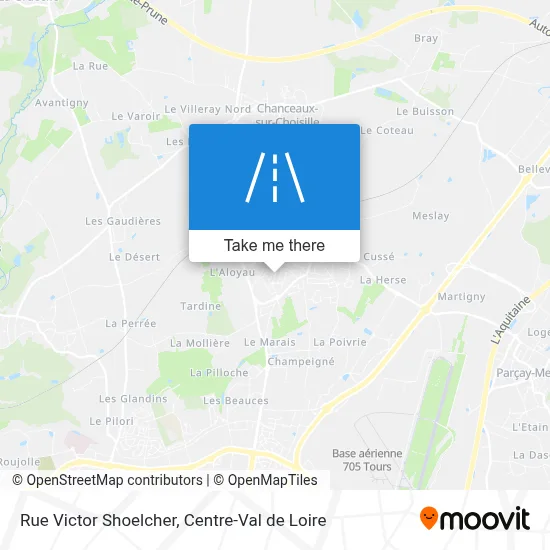 Rue Victor Shoelcher map