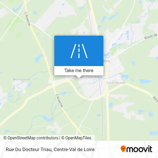 Rue Du Docteur Triau map
