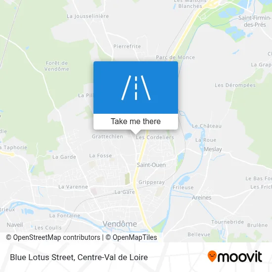 Rue Du Lotus Bleu map
