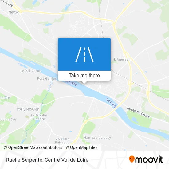 Ruelle Serpente map