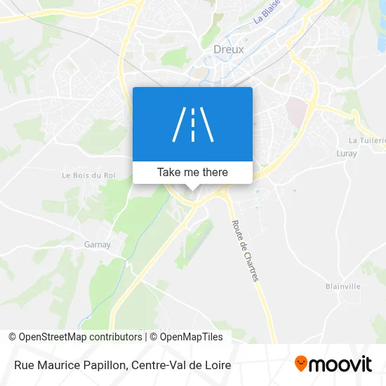 Rue Maurice Papillon map