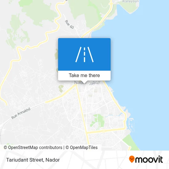 Tariudant Street map