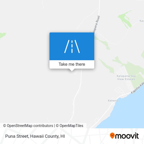 Puna Street map