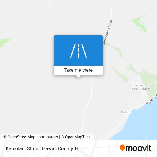 Kapiolani Street map