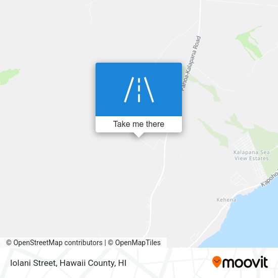 Iolani Street map