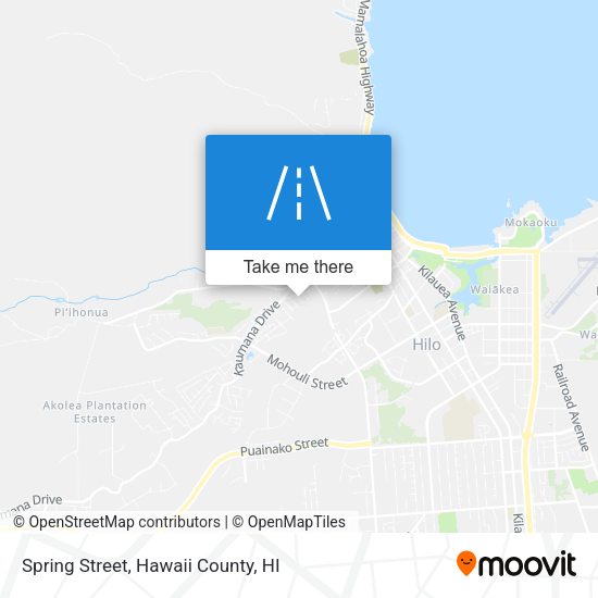 Spring Street map