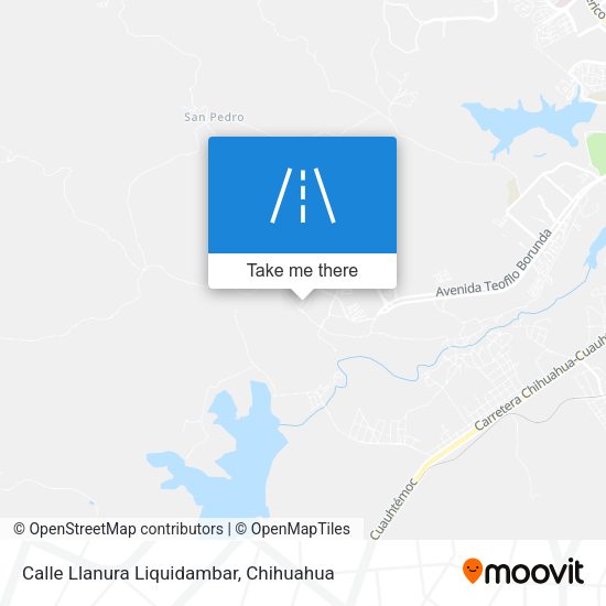 Calle Llanura Liquidambar map