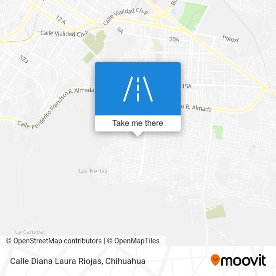 Calle Diana Laura Riojas map