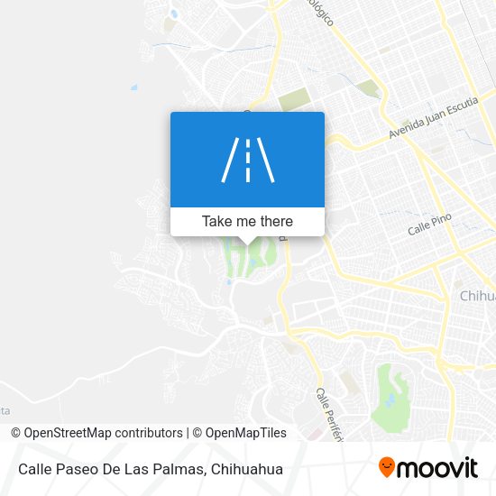 Calle Paseo De Las Palmas map