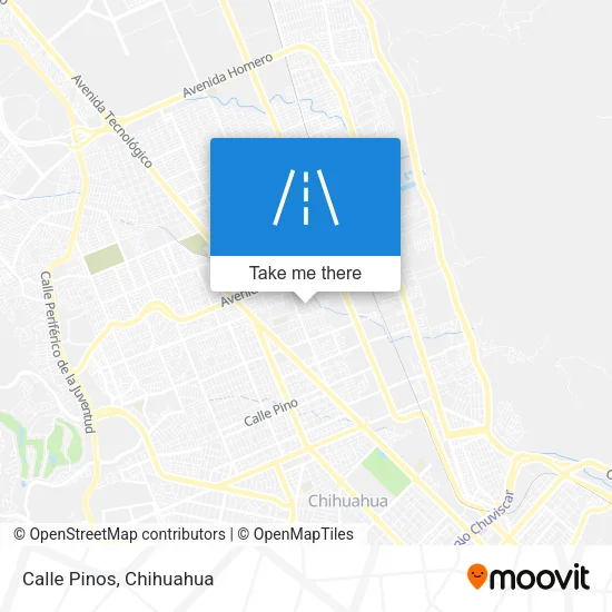 Calle Pinos map