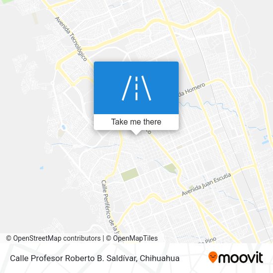 Mapa de Calle Profesor Roberto B. Saldívar