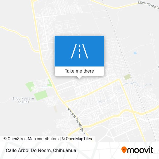 Calle Árbol De Neem map