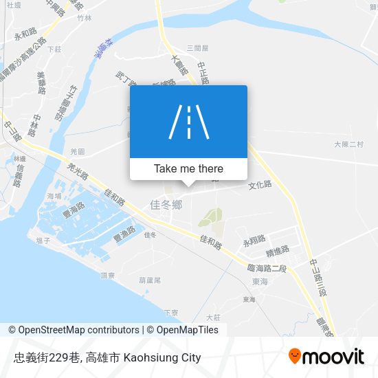 忠義街229巷地圖