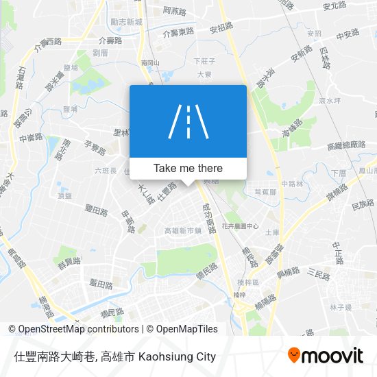 仕豐南路大崎巷 map