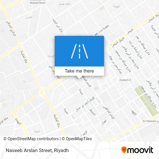 Naseeb Arslan Street map
