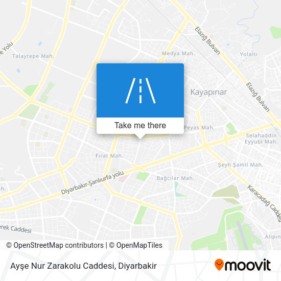 Ayşe Nur Zarakolu Caddesi map