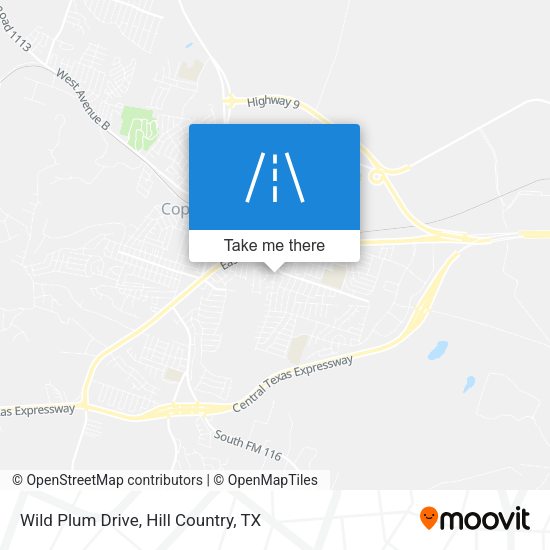 Mapa de Wild Plum Drive