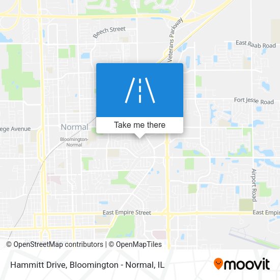 Mapa de Hammitt Drive