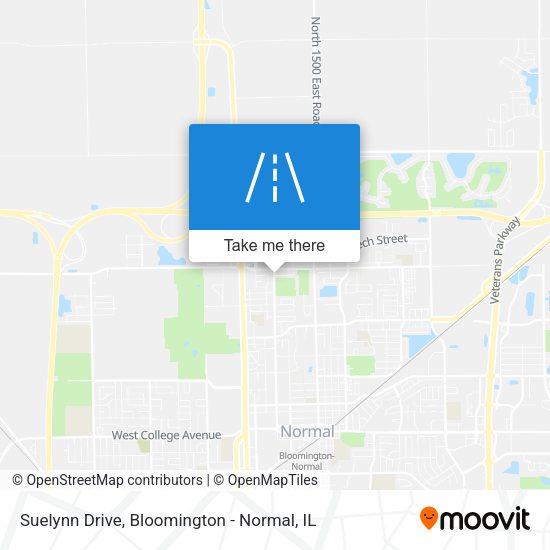 Suelynn Drive map