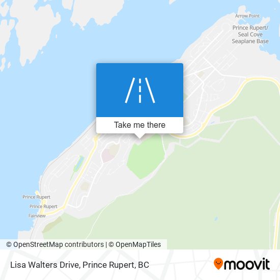 Lisa Walters Drive map