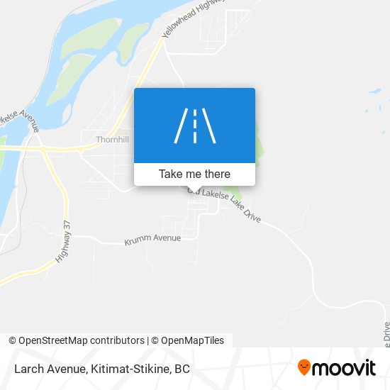 Larch Avenue plan