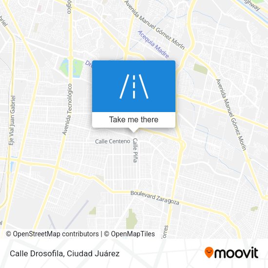 Calle Drosofila map