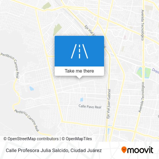 Calle Profesora Julia Salcido map