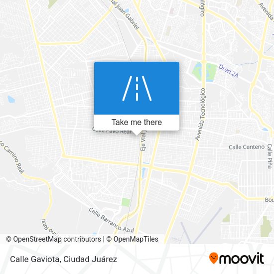 Calle Gaviota map