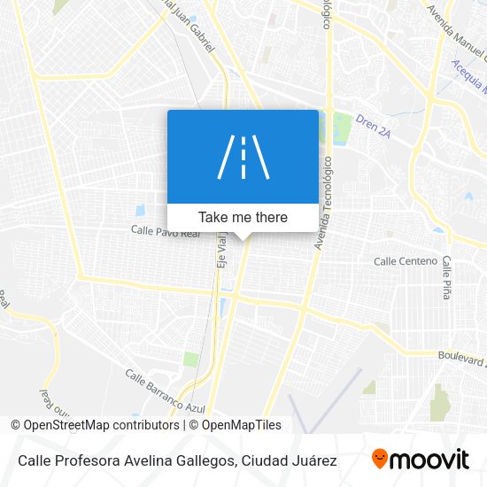 Calle Profesora Avelina Gallegos map