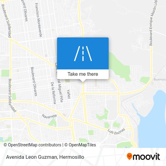 Mapa de Avenida Leon Guzman