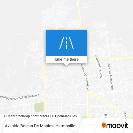 Avenida Bolson De Mapimi map