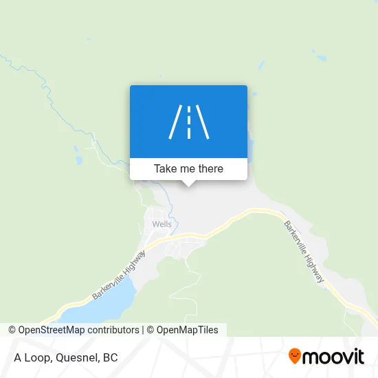 A Loop map