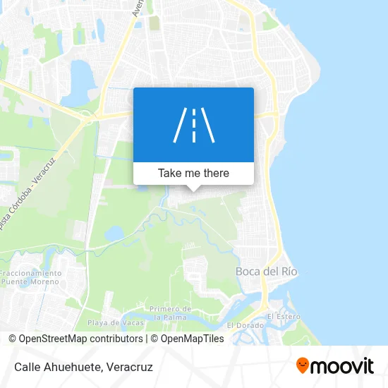 Calle Ahuehuete map