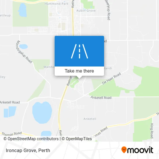 Mapa Ironcap Grove