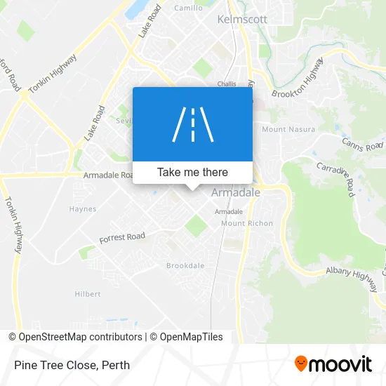 Mapa Pine Tree Close