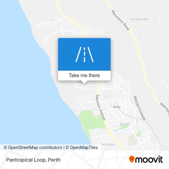 Pantropical Loop map