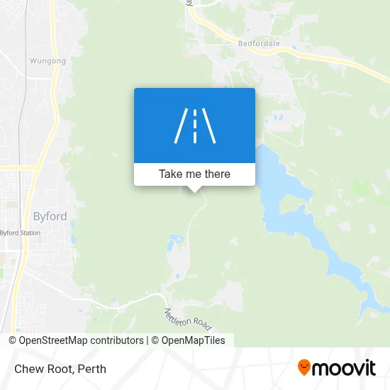 Mapa Chew Root
