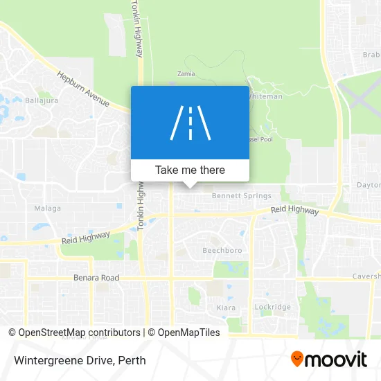 Mapa Wintergreene Drive