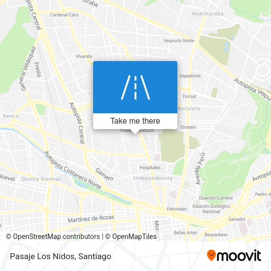 Mapa de Pasaje Los Nidos